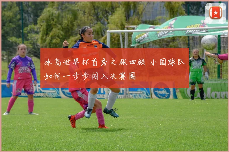 冰岛世界杯首秀之旅回顾 小国球队如何一步步闯入决赛圈
